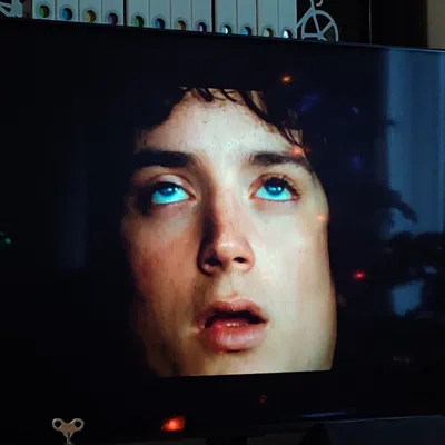 Frodo's funny face